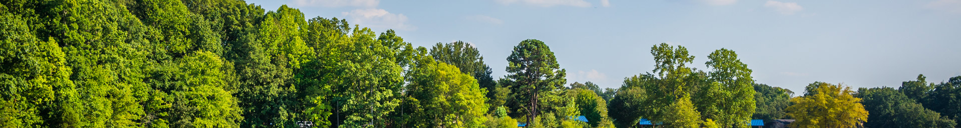 green trees | residential painting service in cornelius
