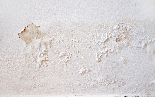 damaged paint | home interior painting