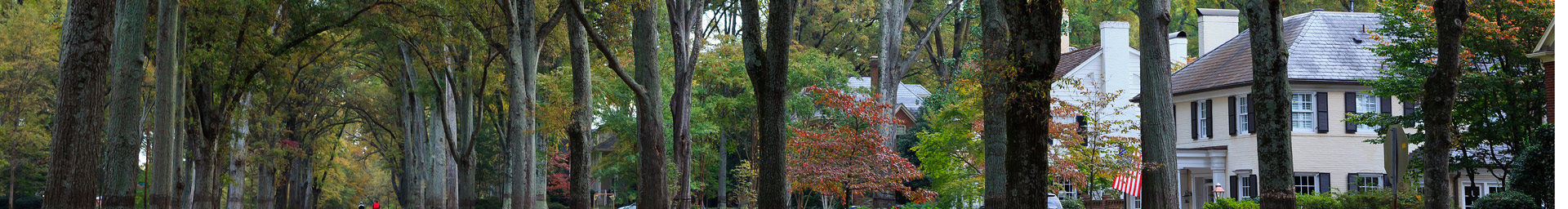 community with trees | residential painting service in myers park