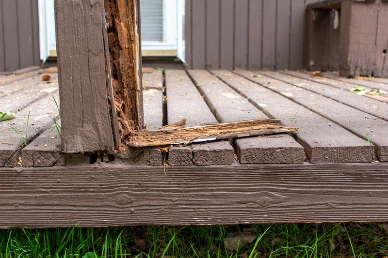 damaged wood | wood rot repair service